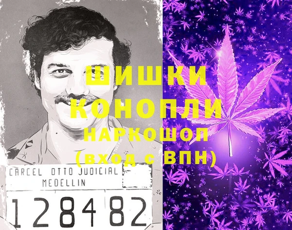 СК Алексин