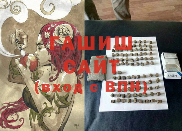 СК Алексин