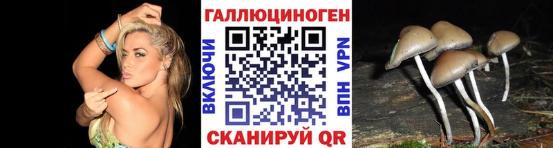 блэк спрут ONION  Балашов  Галлюциногенные грибы MAGIC MUSHROOMS 